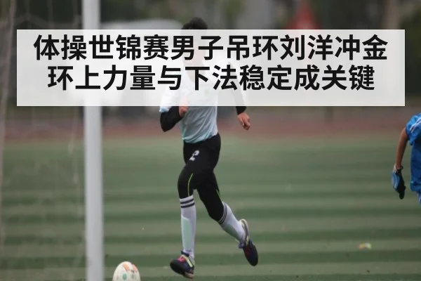 体操世锦赛男子吊环刘洋冲金环上力量与下法稳定成关键